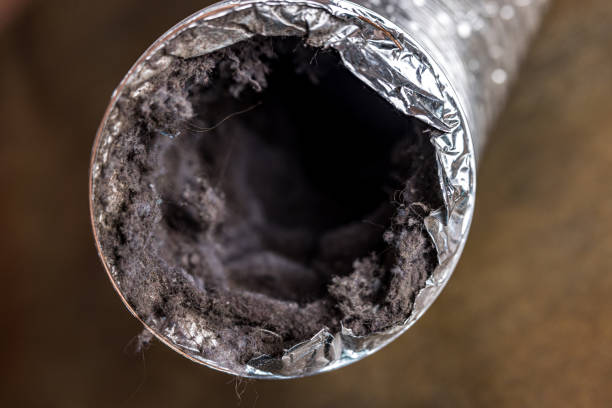 Best Residential Air Duct Cleaning  in Karns, TN